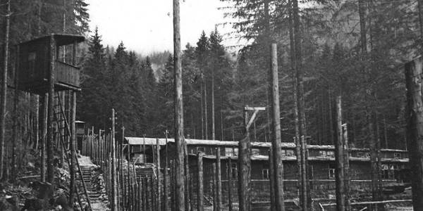 Themenrundgang | 27.06.