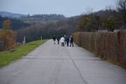 (photo credits: Mauthausen Memorial)